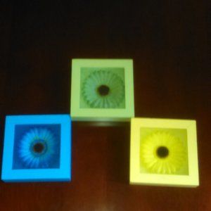 Set of 3 daisies in shadow boxes